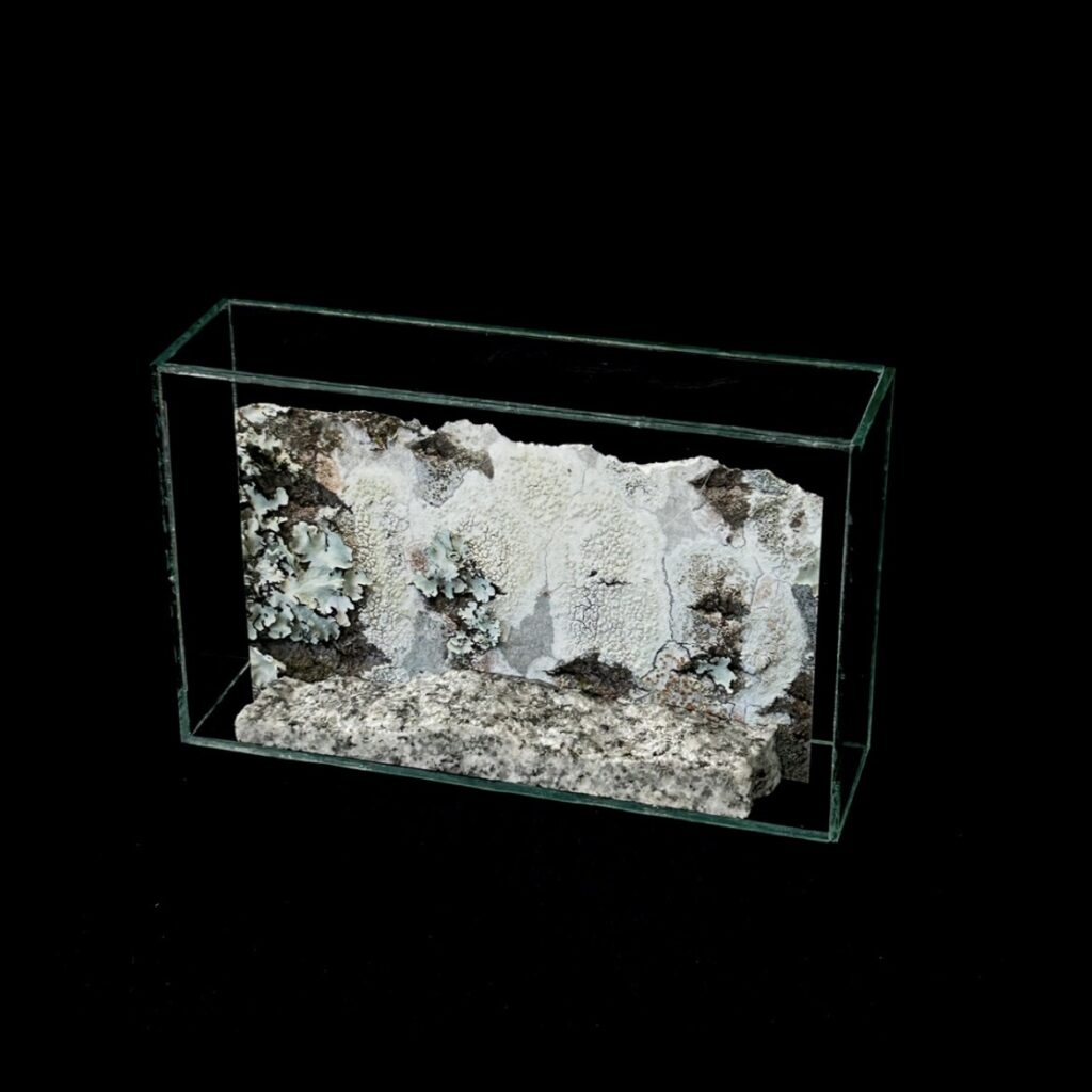 529cb180 7b9d 45ba bb01 8693b2b58140